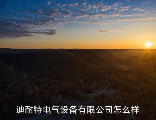 迪耐特電氣設(shè)備有限公司怎么樣