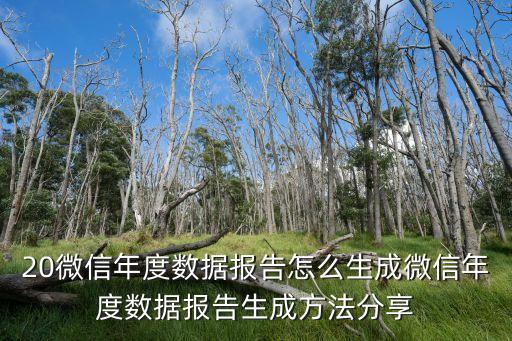 20微信年度數(shù)據(jù)報告怎么生成微信年度數(shù)據(jù)報告生成方法分享
