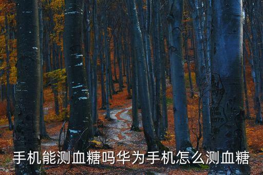 手機(jī)能測血糖嗎華為手機(jī)怎么測血糖