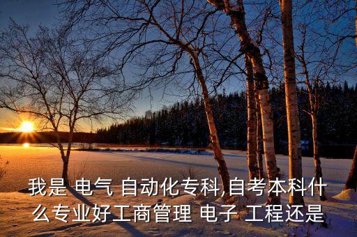 我是 電氣 自動(dòng)化?？?自考本科什么專業(yè)好工商管理 電子 工程還是