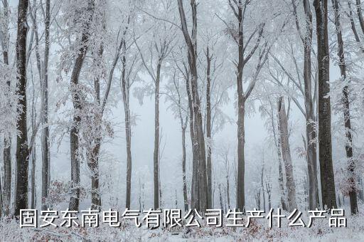 固安東南電氣有限公司生產(chǎn)什么產(chǎn)品