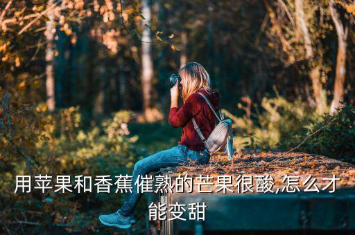 用蘋(píng)果和香蕉催熟的芒果很酸,怎么才能變甜