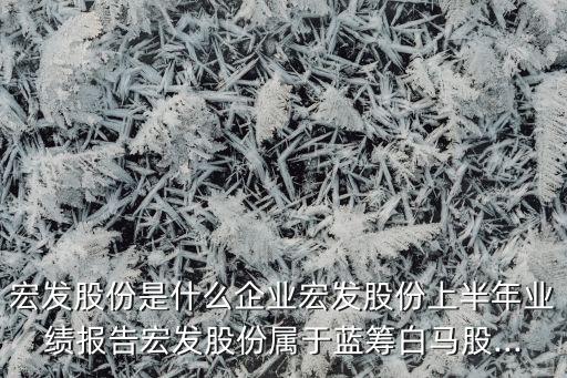 宏發(fā)股份是什么企業(yè)宏發(fā)股份上半年業(yè)績報告宏發(fā)股份屬于藍籌白馬股...
