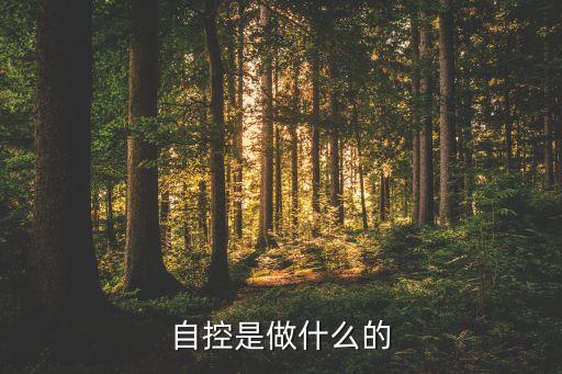 自控是做什么的