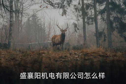 盛襄陽機電有限公司怎么樣