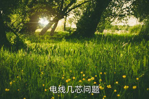 電線幾芯問(wèn)題
