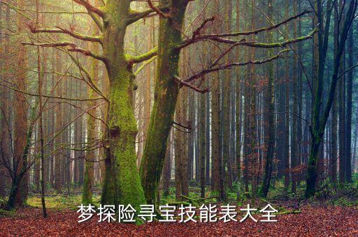 夢探險(xiǎn)尋寶技能表大全