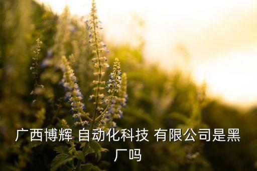 廣西博輝 自動(dòng)化科技 有限公司是黑廠嗎