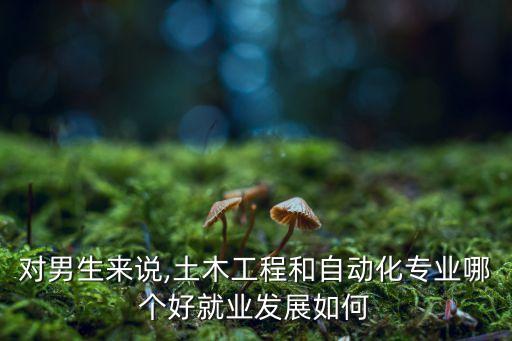 對男生來說,土木工程和自動化專業(yè)哪個好就業(yè)發(fā)展如何