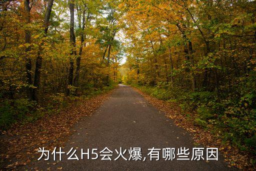 為什么H5會(huì)火爆,有哪些原因