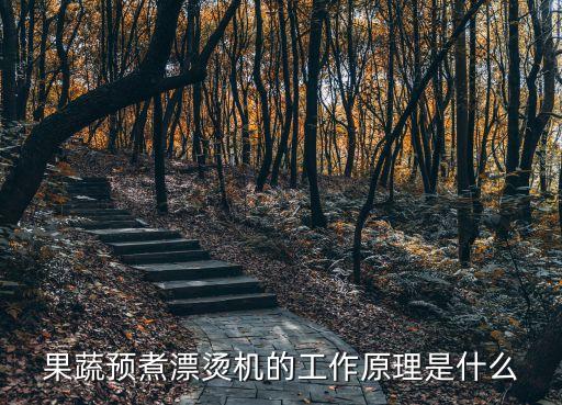 蔬菜自動化輸送設備,蕪湖自動化輸送設備有限公司