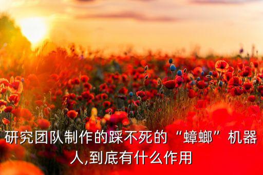 研究用機器人圖片,科學家研究機器人的圖片