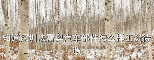 深圳法雷奧自動化設備,法雷奧深圳怎么樣?