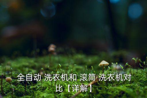  全自動(dòng) 洗衣機(jī)和 滾筒 洗衣機(jī)對(duì)比【詳解】