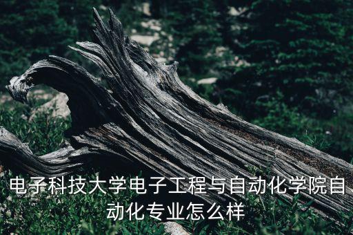 電子科技大學(xué)電子工程與自動化學(xué)院自動化專業(yè)怎么樣