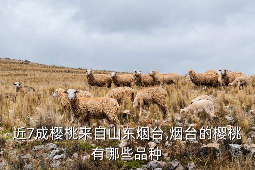 山東櫻桃全自動(dòng)化設(shè)備,櫻桃加工設(shè)備