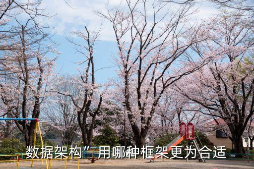 數(shù)據(jù)架構(gòu)”用哪種框架更為合適