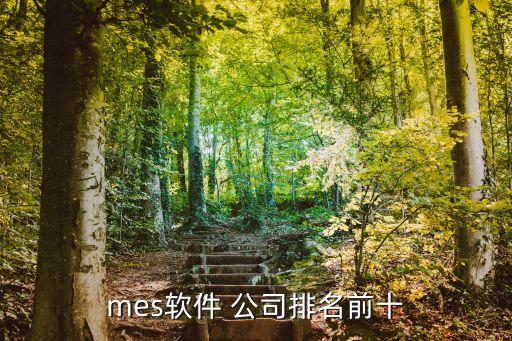 mes軟件 公司排名前十