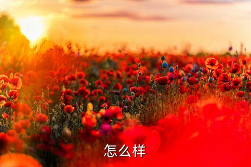 怎么樣