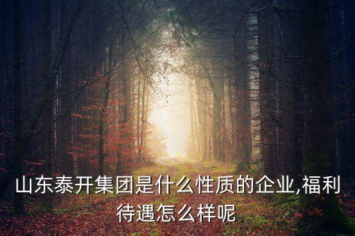 山東泰開集團是什么性質的企業(yè),福利待遇怎么樣呢