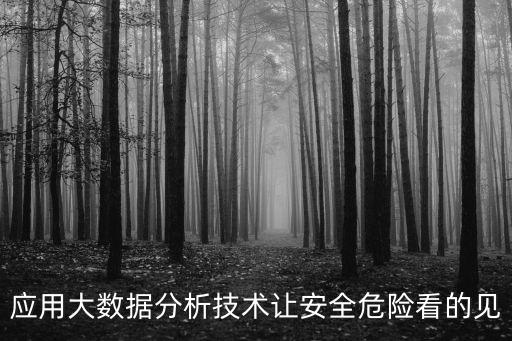 應(yīng)用大數(shù)據(jù)分析技術(shù)讓安全危險(xiǎn)看的見