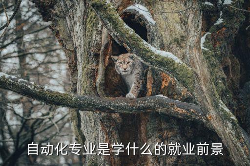 自動化控制專業(yè)有前途嗎,自動化專業(yè)吃香嗎?有前途嗎?