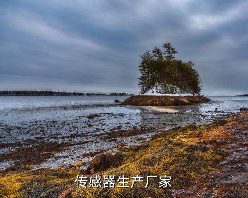 傳感器生產(chǎn)廠家