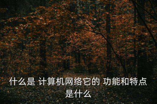 什么是 計算機網(wǎng)絡它的 功能和特點是什么