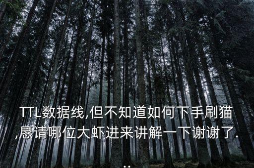 TTL數(shù)據(jù)線,但不知道如何下手刷貓,懇請哪位大蝦進(jìn)來講解一下謝謝了...