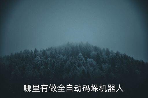 哪里有做全自動(dòng)碼垛機(jī)器人