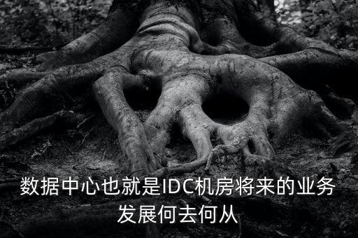 中國 數(shù)據(jù)中心 市場規(guī)模,中國大型數(shù)據(jù)中心評估怎么樣?
