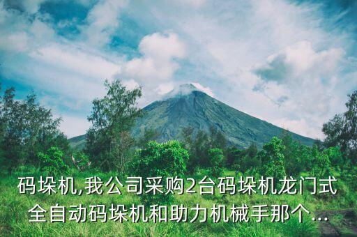 移動(dòng)碼垛機(jī)自動(dòng)化設(shè)備,自動(dòng)堆垛機(jī)設(shè)備視頻