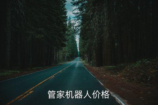 管家機(jī)器人價(jià)格