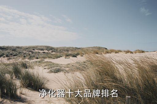 凈化器十大品牌排名