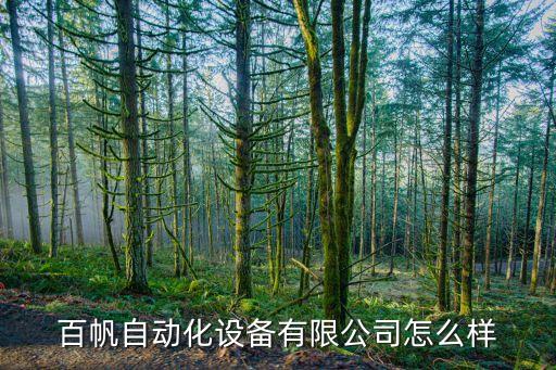 沈陽百帆自動(dòng)化設(shè)備,百帆自動(dòng)化設(shè)備有限公司