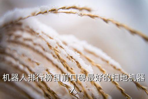 機(jī)器人排行榜目前口碑最好的掃地機(jī)器人