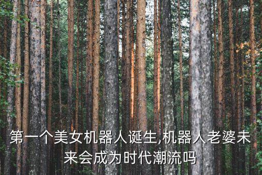 第一個(gè)美女機(jī)器人誕生,機(jī)器人老婆未來會成為時(shí)代潮流嗎