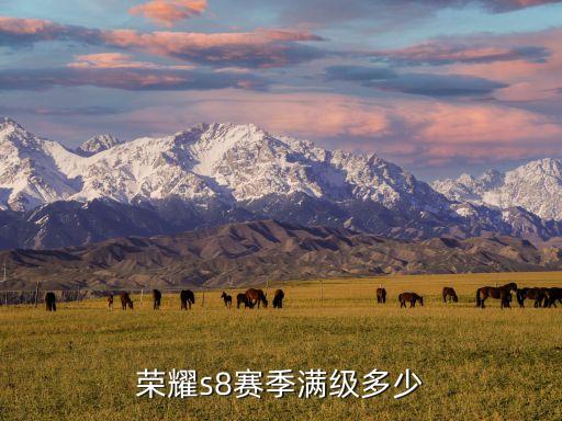 s8賽季數(shù)據(jù),王者榮耀s8賽季全年級(jí)?