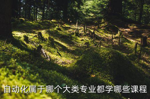 自動化屬于哪個大類專業(yè)都學哪些課程