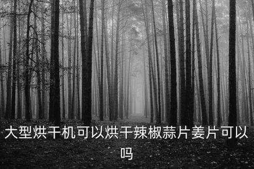 大型烘干機(jī)可以烘干辣椒蒜片姜片可以嗎