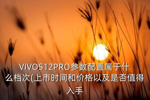 VIVOS12PRO參數(shù)配置屬于什么檔次(上市時間和價格以及是否值得入手