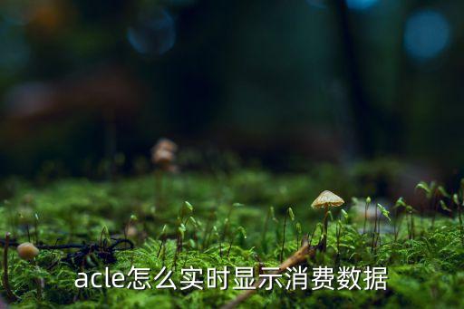 acle怎么實(shí)時(shí)顯示消費(fèi)數(shù)據(jù)