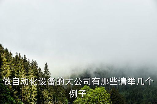 做自動(dòng)化設(shè)備的大公司有那些請(qǐng)舉幾個(gè)例子