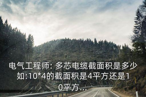 電氣工程師: 多芯電纜截面積是多少如:10*4的截面積是4平方還是10平方...