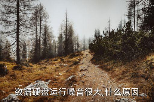 西部數(shù)據(jù)硬盤(pán)聲音大嗎,一般硬盤(pán)聽(tīng)起來(lái)怎么樣?