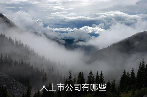 機器人流程自動化的公司,過程自動化機器人的工作原理
