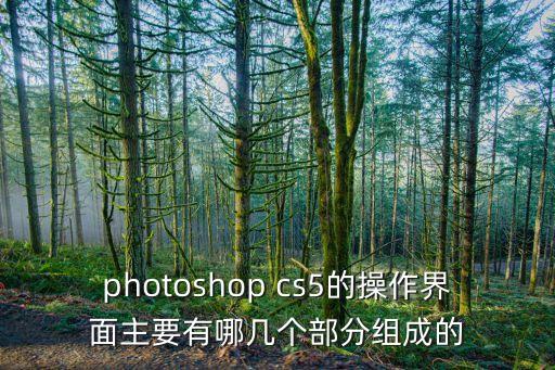 photoshop cs5的操作界面主要有哪幾個(gè)部分組成的
