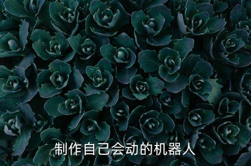 制作自己會(huì)動(dòng)的機(jī)器人