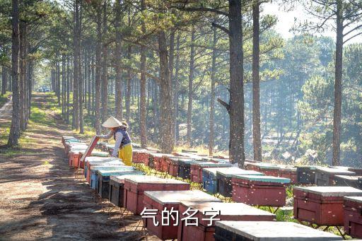 霸氣的,most 霸氣的 name