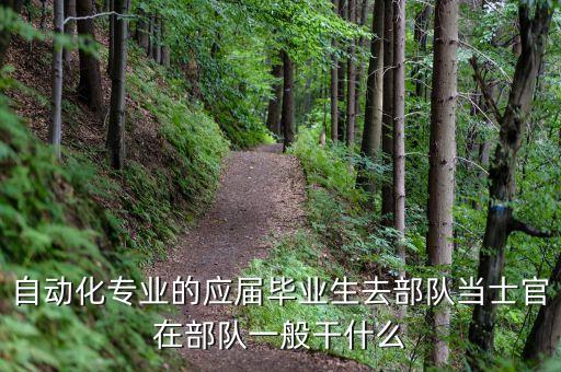 學(xué)完電氣自動(dòng)化去當(dāng)兵好嗎,電氣自動(dòng)化專(zhuān)業(yè)要當(dāng)兵?